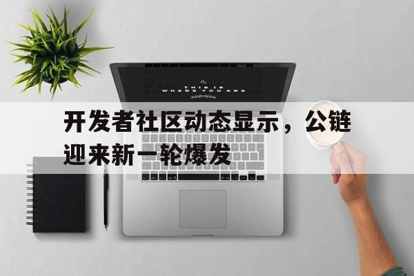 开发者社区动态显示，公链迎来新一轮爆发的简单介绍